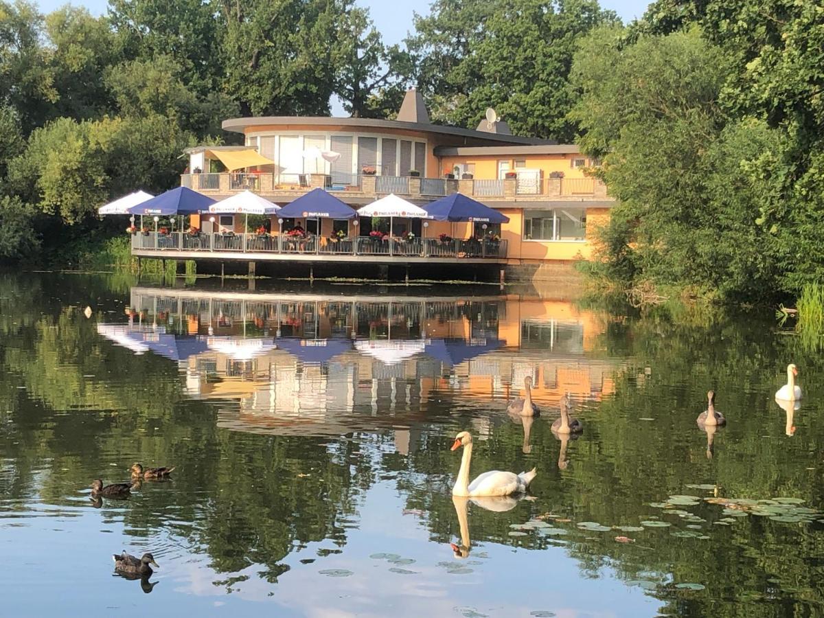 Pension Am See Torgau Eksteriør billede